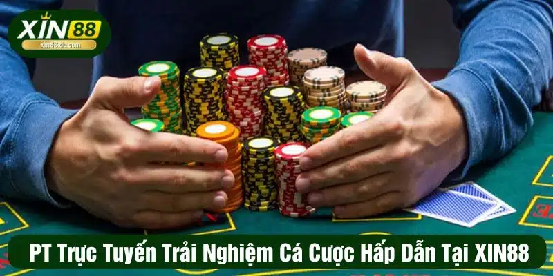 PT trực tuyến