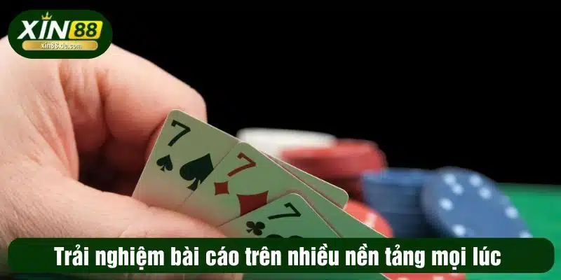 Trải nghiệm bài cáo trên nhiều nền tảng mọi lúc